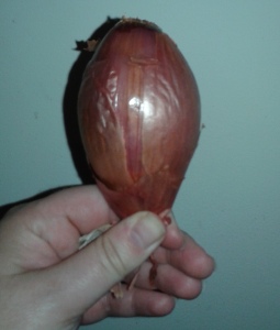 The Shallot that took down Tokyo.
